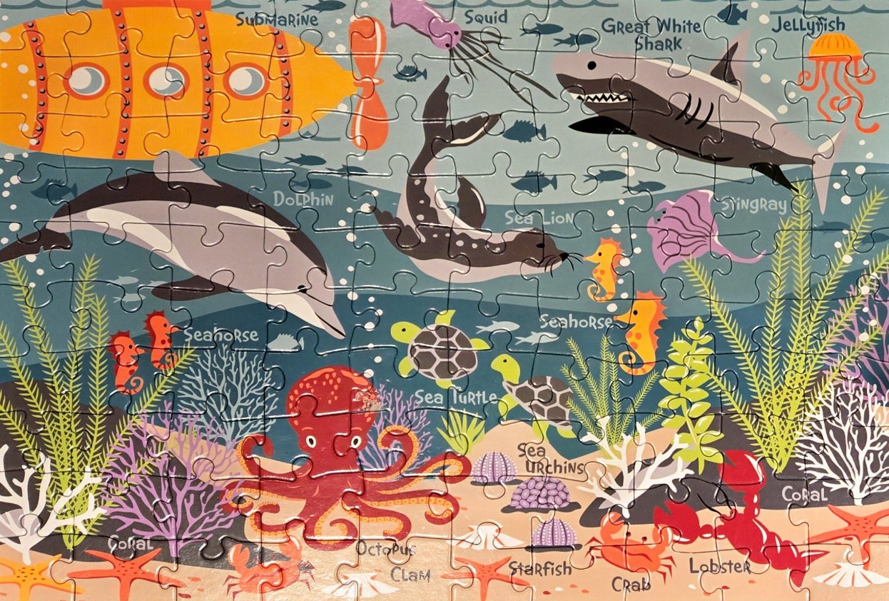 An illustrated, educational scene of various marine life and a submarine underwater.