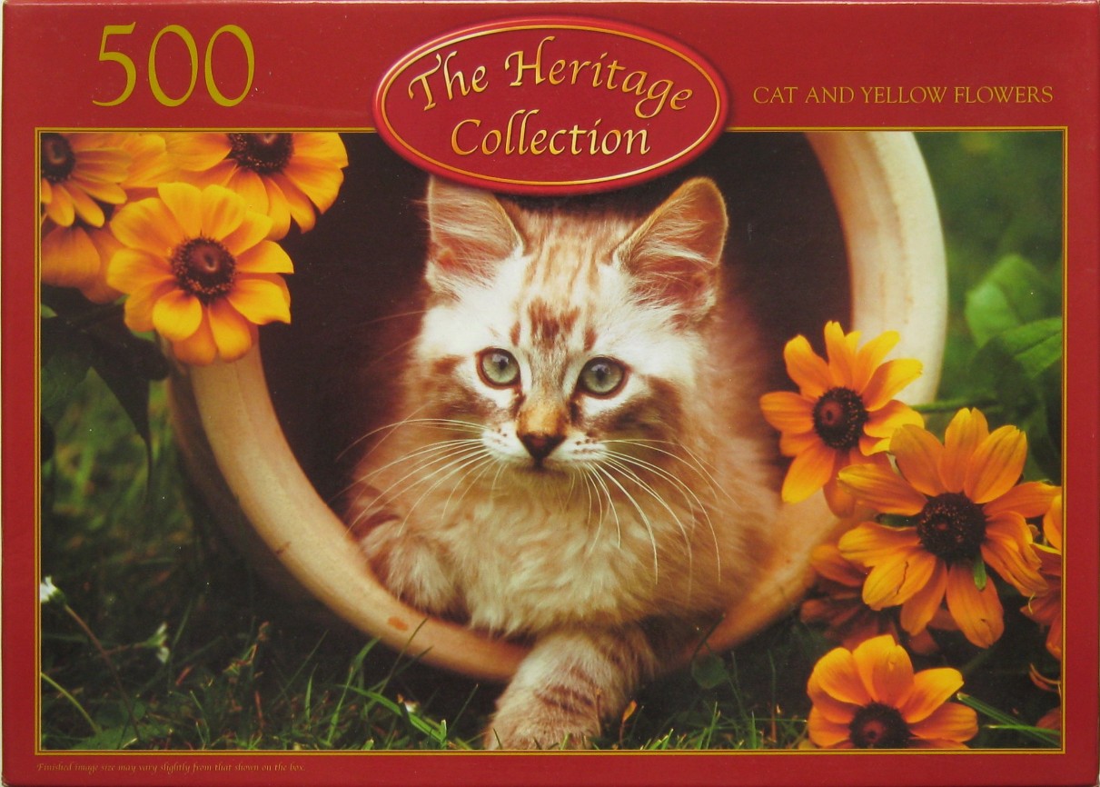 A fluffy, cream-colored cat with tabby markings sitting inside a large, overturned terracotta garden pot surrounded by flower