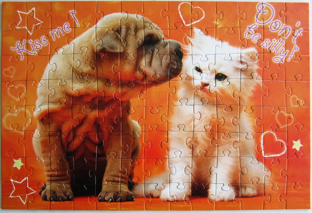 A photograph of a wrinkly puppy leaning in to kiss a fluffy white kitten against a bright orange background.