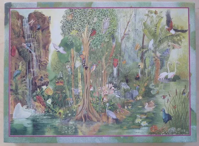 A lush, detailed illustration of a tropical rainforest landscape filled with dozens of colourful birds.