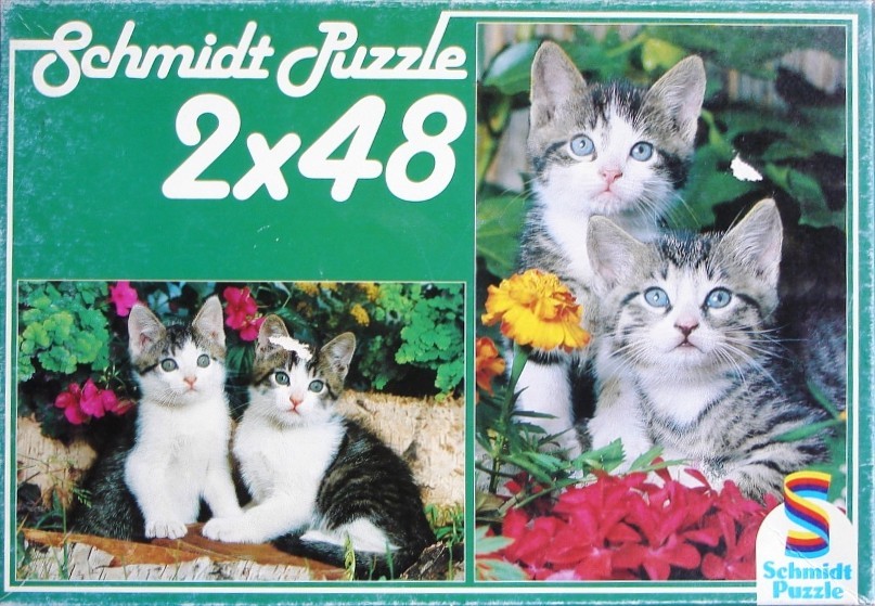 Two photographs of pairs of tabby and white kittens sitting among colorful garden flowers.