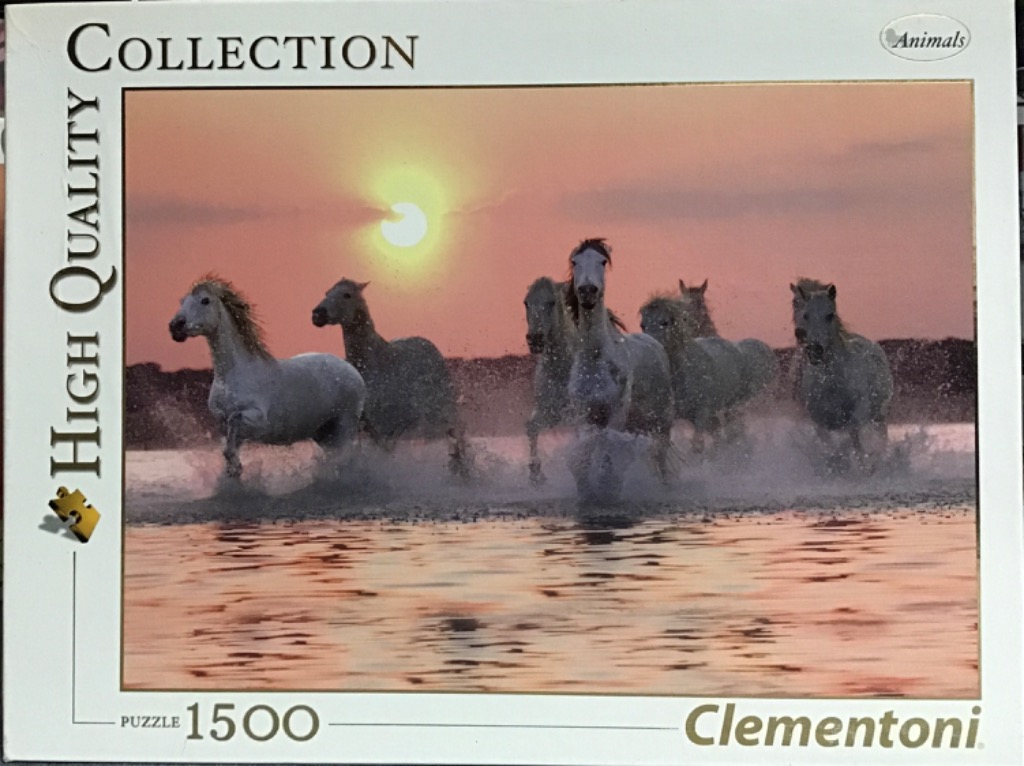 A group of white horses running through shallow water at sunset.