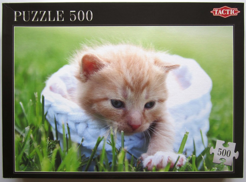 A close-up photograph of a tiny orange tabby kitten sitting in a white knitted basket nestled in green grass.
