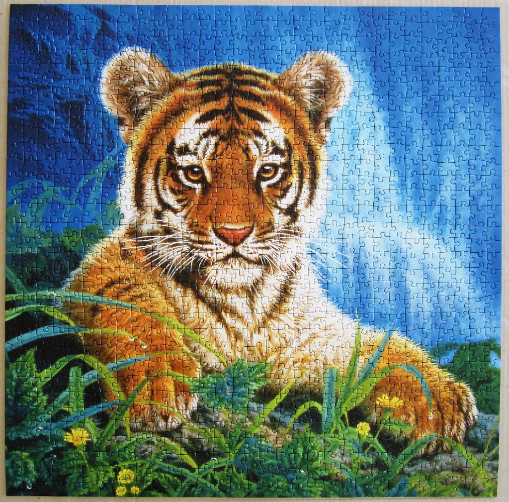 A detailed illustration of a tiger cub peering through lush green foliage against a vibrant blue background.