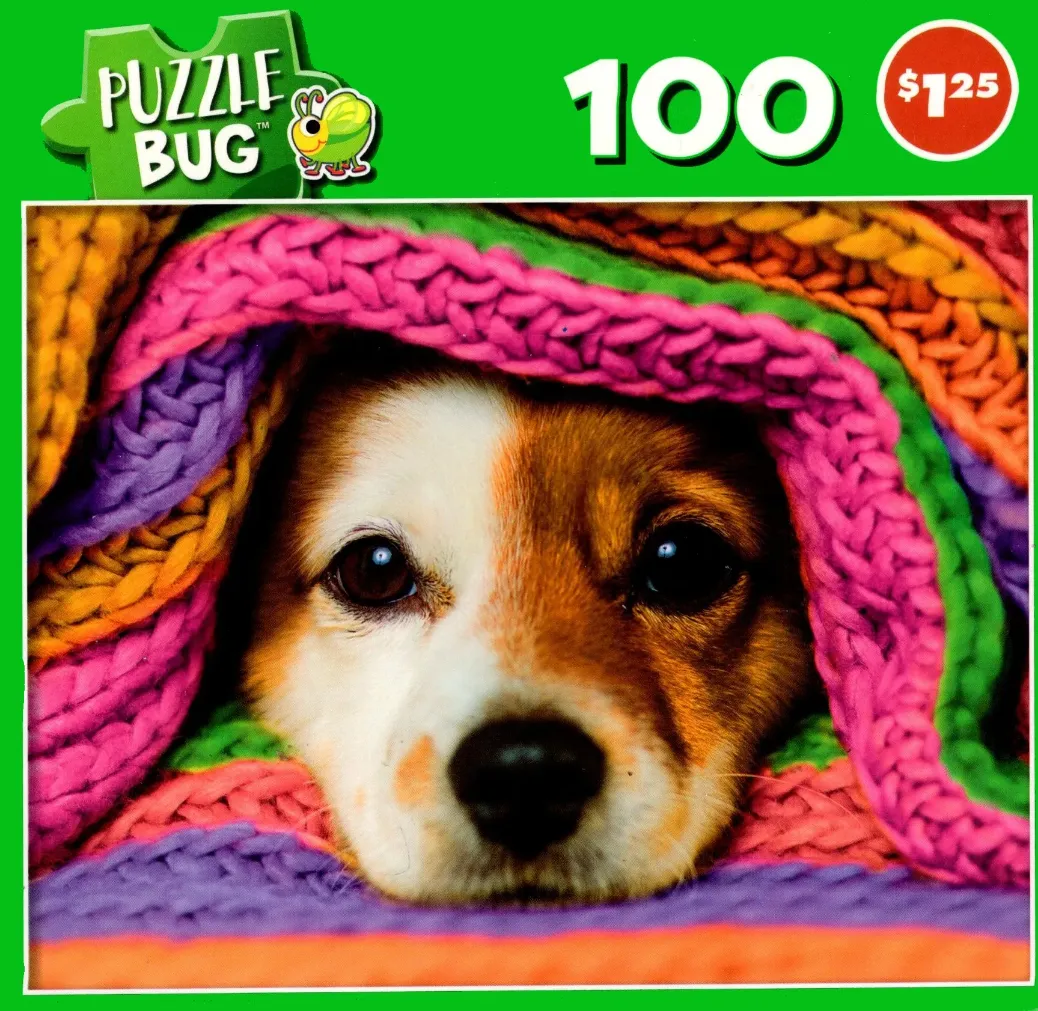 A puppy with brown and white fur peeking out from under a bright, multi-colored knitted blanket.