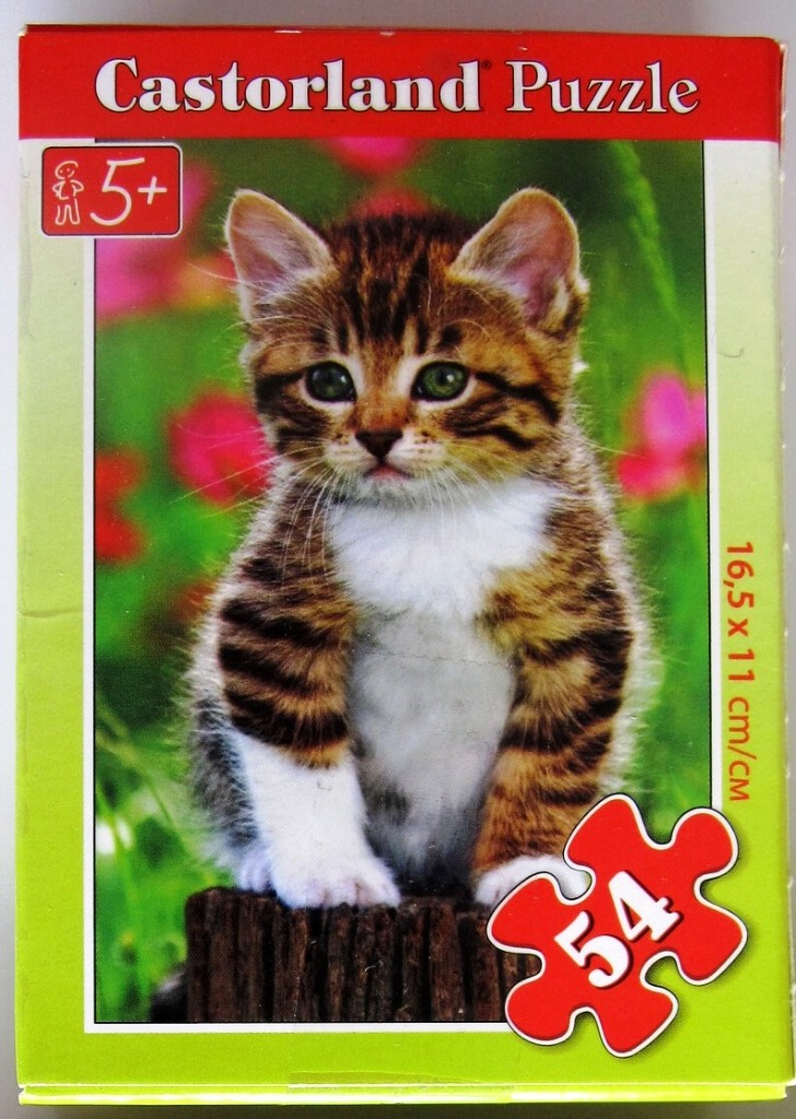 A close-up portrait of a fluffy brown tabby kitten sitting on a tree stump in a garden.