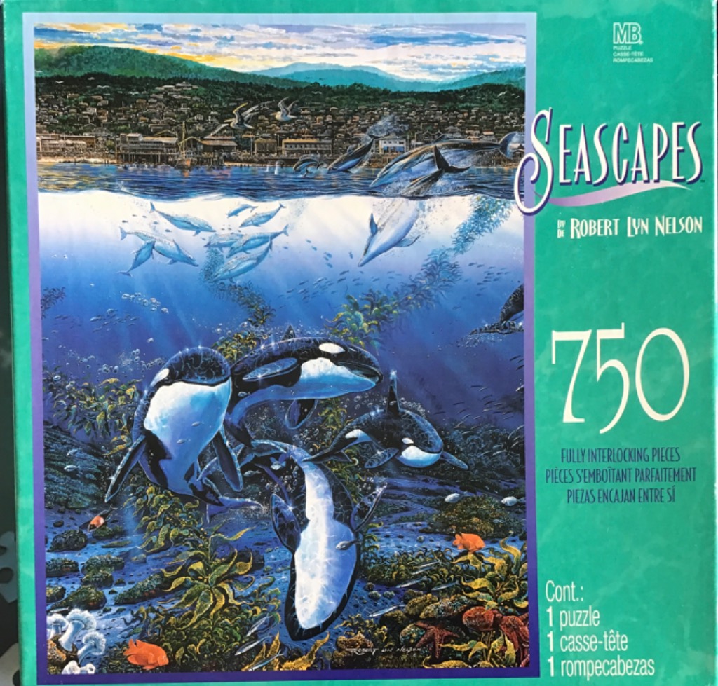 A split-view illustration showing orcas swimming in a kelp forest underwater and a coastal town above the surface.