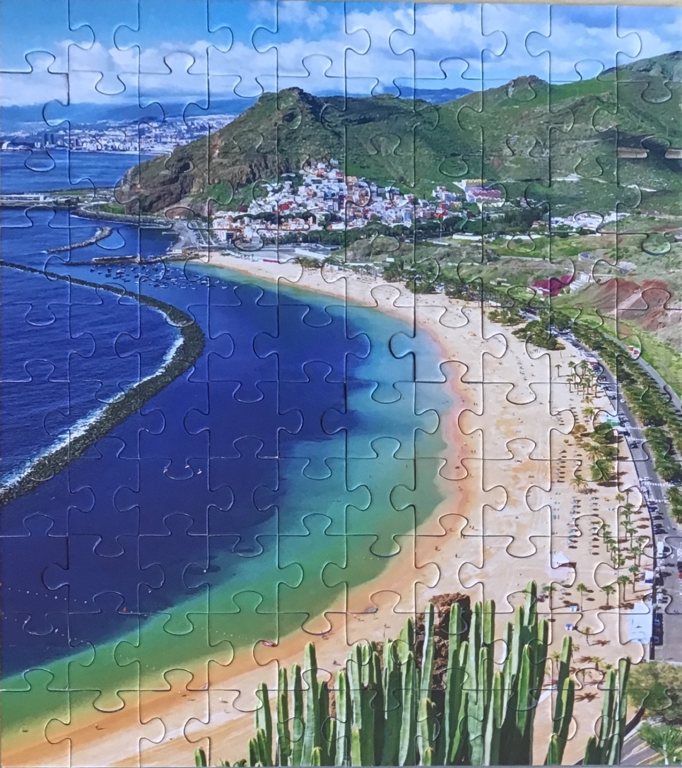 Aerial view of Las Teresitas beach in Tenerife with mountains and cacti in the foreground.