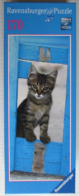 A close-up photograph of a small brown tabby kitten standing behind a rustic, weathered blue wooden garden gate.