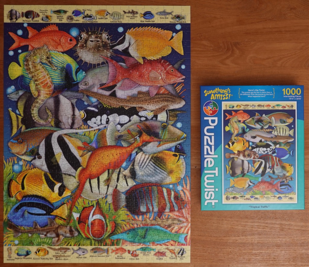Vibrant tropical fish swimming in blue water, including a seahorse and pufferfish.