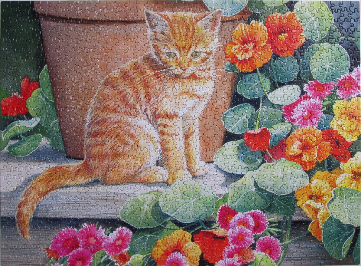 An orange tabby kitten sitting on a wooden ledge next to a large terracotta pot and vibrant nasturtium flowers.