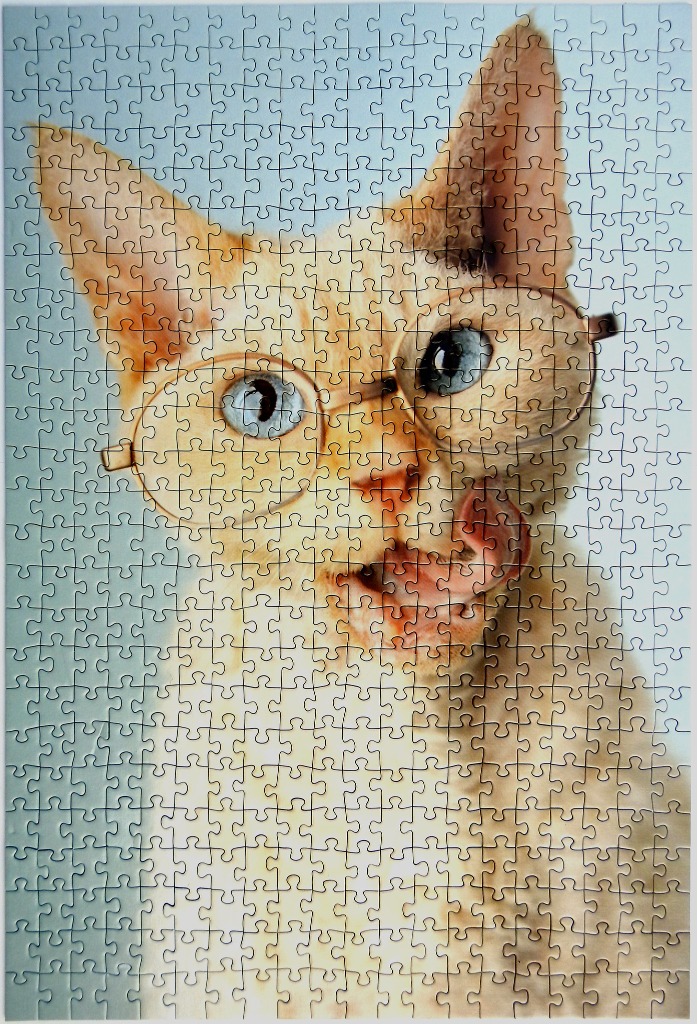 A close-up portrait of a ginger cat wearing round wire-rimmed glasses, licking its nose.