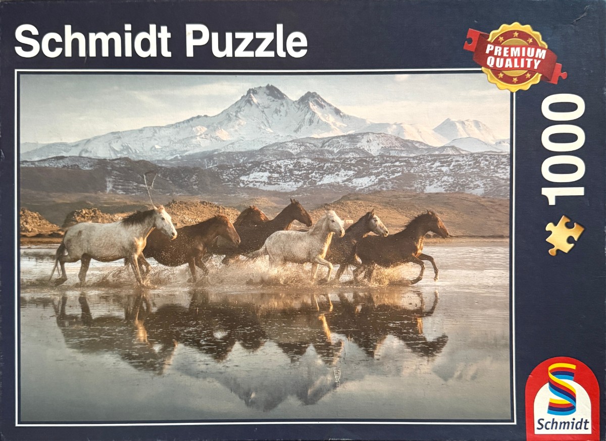 A herd of horses running through shallow water against a backdrop of snow-capped mountains.