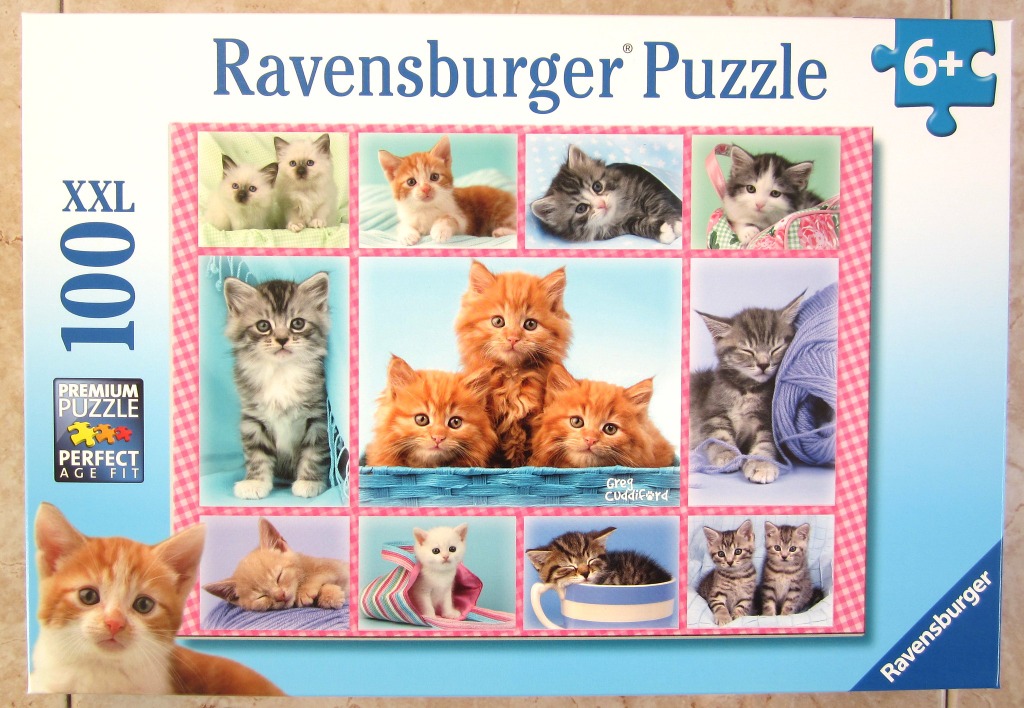A collage of eleven adorable kittens in various poses, settings, and colors displayed against a pink gingham border.