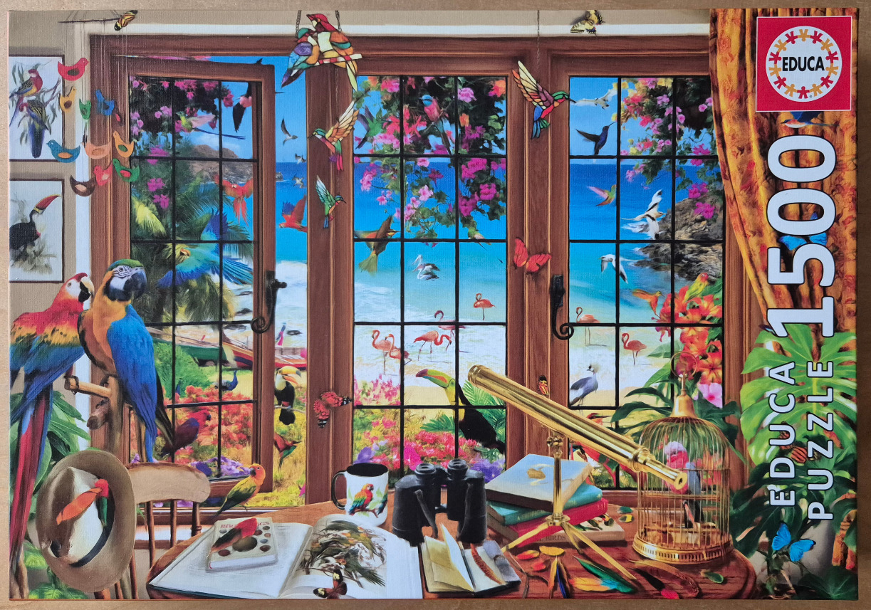 An illustration of a tropical beach view through a window, filled with exotic birds and naturalist tools.