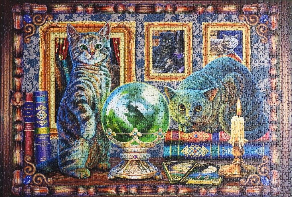 Two cats in a mystical, book-filled room with a glowing crystal ball, tarot cards, and a lit candle.