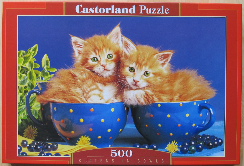 Two fluffy ginger kittens sitting inside bright blue polka-dot mugs against a blue backdrop.