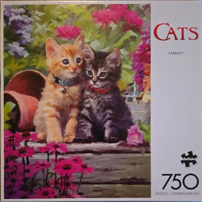 Two kittens, one orange tabby and one dark brown tabby, sitting together in a garden full of pink flowers.