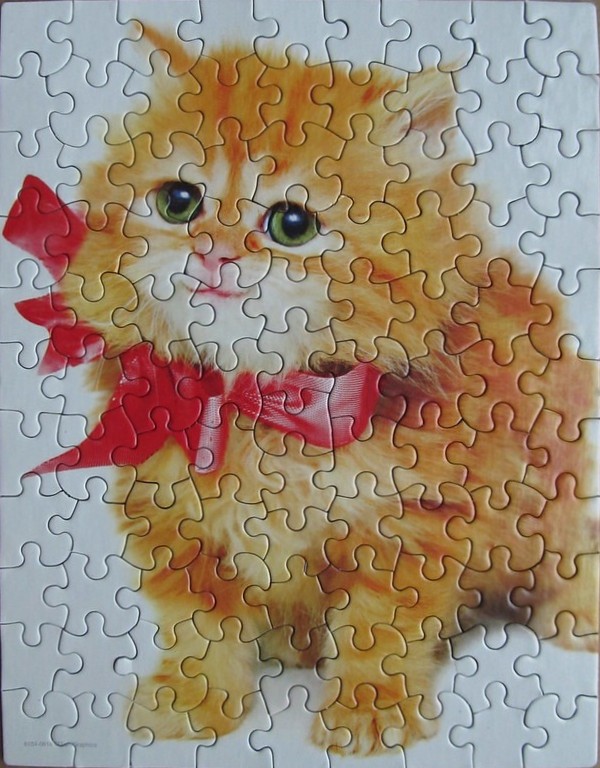 An illustration of a fluffy ginger kitten with large green eyes and a bright red ribbon around its neck.