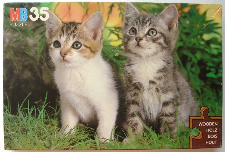 Two kittens sitting in tall green grass outdoors.
