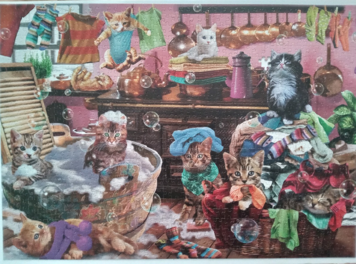 A whimsical illustration of many kittens playing in a laundry room filled with bubbles.