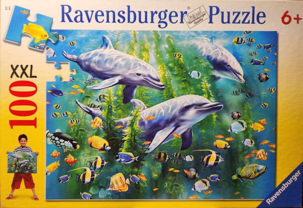 A digital illustration of two dolphins swimming underwater surrounded by colorful tropical fish and seaweed.