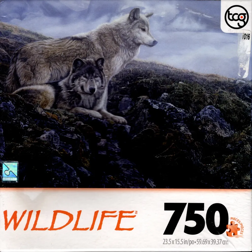 Two wolves resting on a rocky hillside against a moody, overcast mountain backdrop.