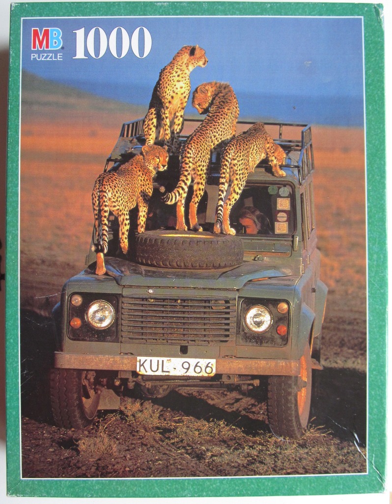 Three cheetahs standing on the roof and hood of an olive green off-road vehicle in the savannah.