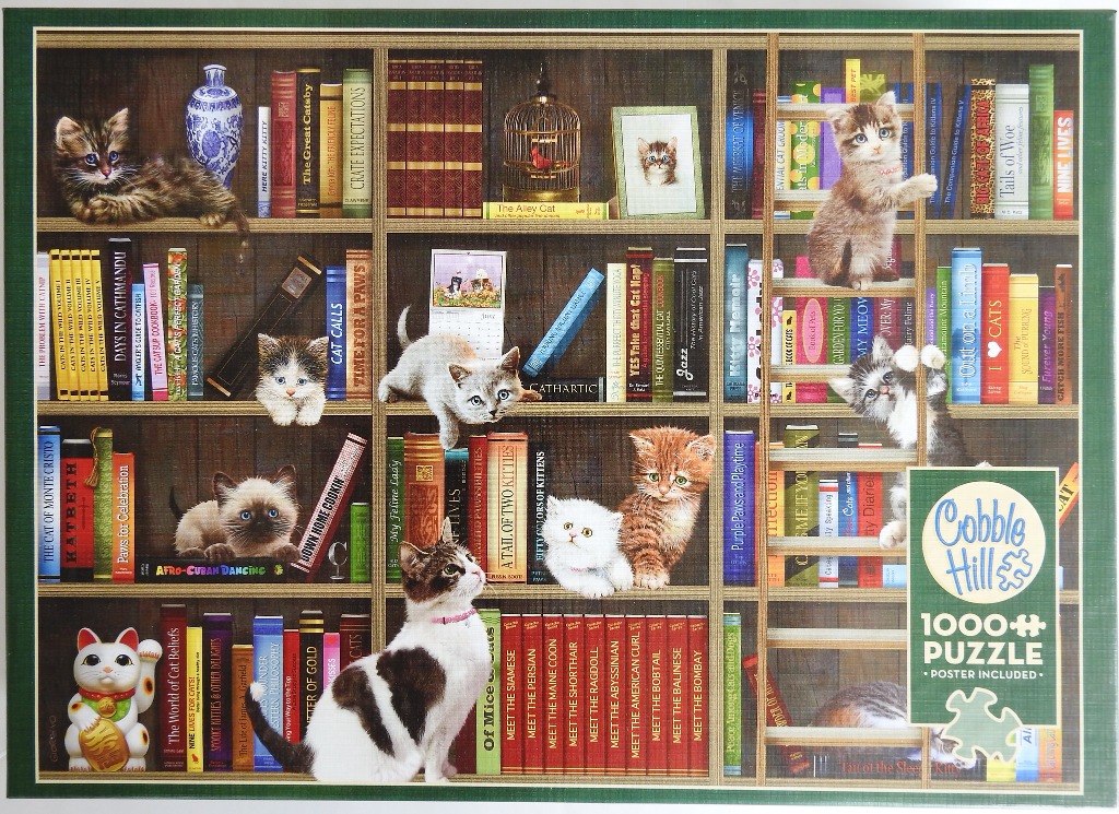 A library bookcase filled with books and various kittens.