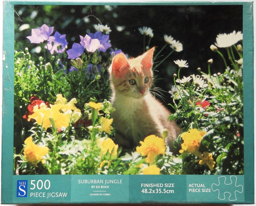 A ginger kitten sitting in a sunny flower garden.