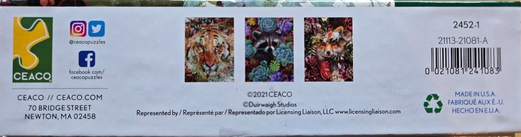 Tiger, raccoon, and fox art with colorful floral and succulent details.