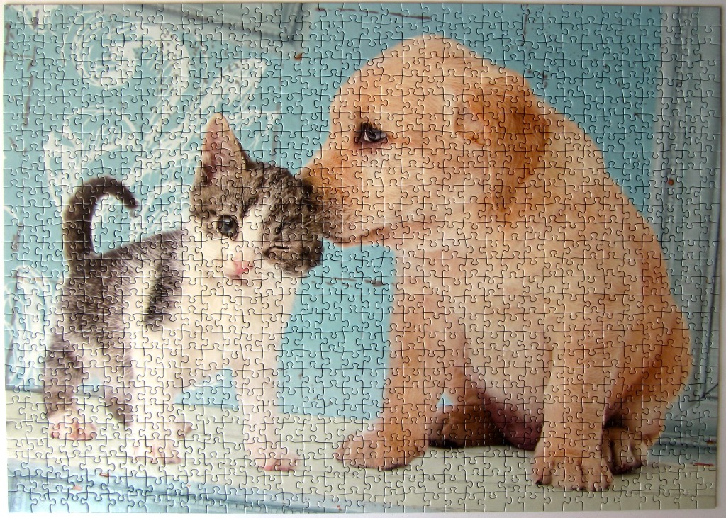 A puppy and a kitten nuzzling against a blue vintage-style background.