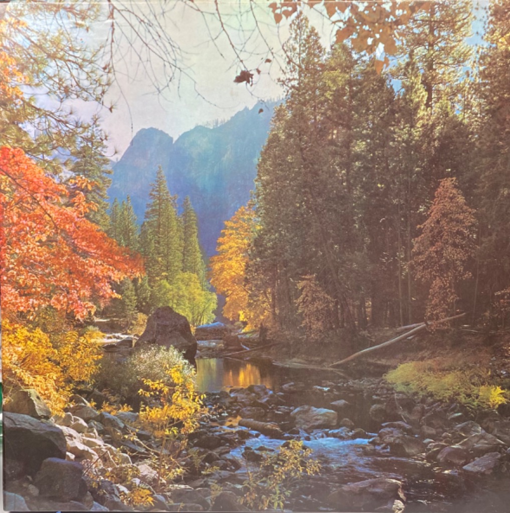 A photograph of a serene mountain stream in autumn, surrounded by vibrant fall foliage and towering evergreen trees.