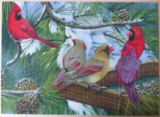 Four northern cardinals perched on snow-covered pine branches in winter.