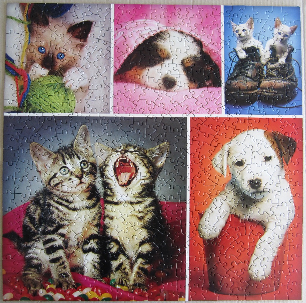 A collage of five photographs featuring kittens and puppies in various playful settings.