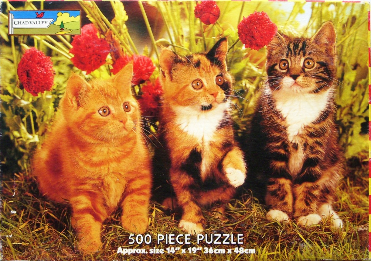 Three kittens sitting in a grassy meadow filled with vibrant red flowers.