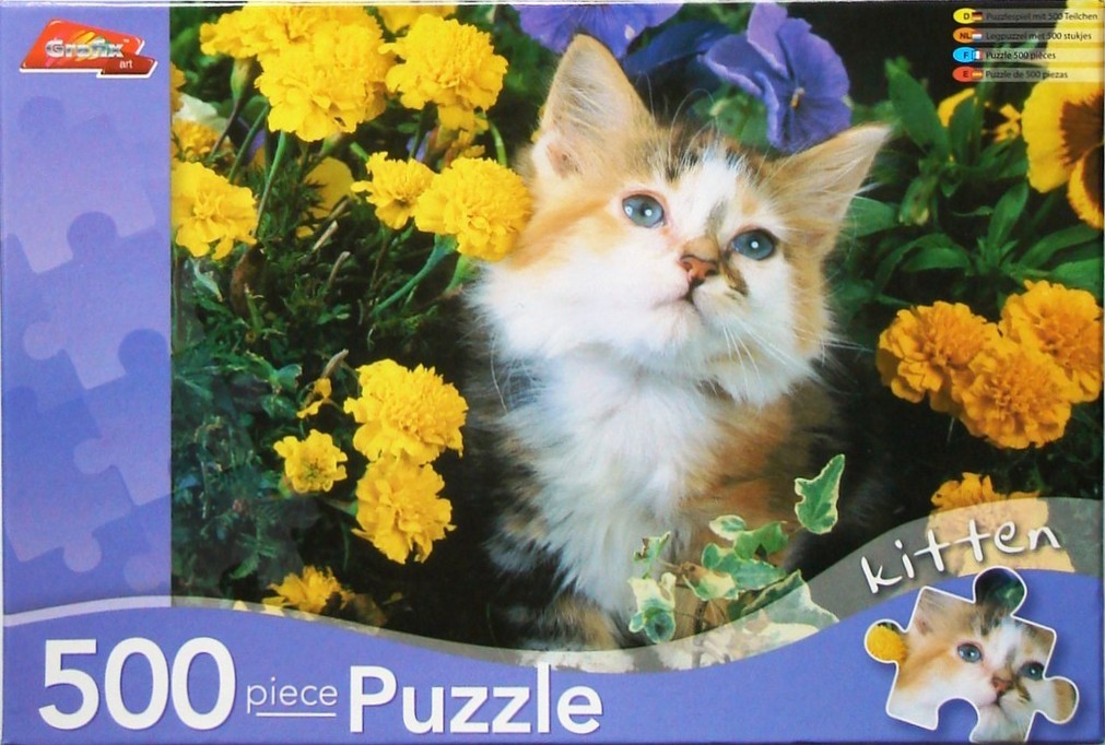 A long-haired tortoiseshell kitten sits nestled among bright yellow marigolds and purple pansies.