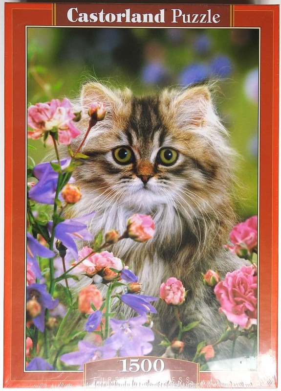 A close-up photograph of a fluffy, long-haired tabby kitten with green eyes peeking through vibrant pink and blue flowers.
