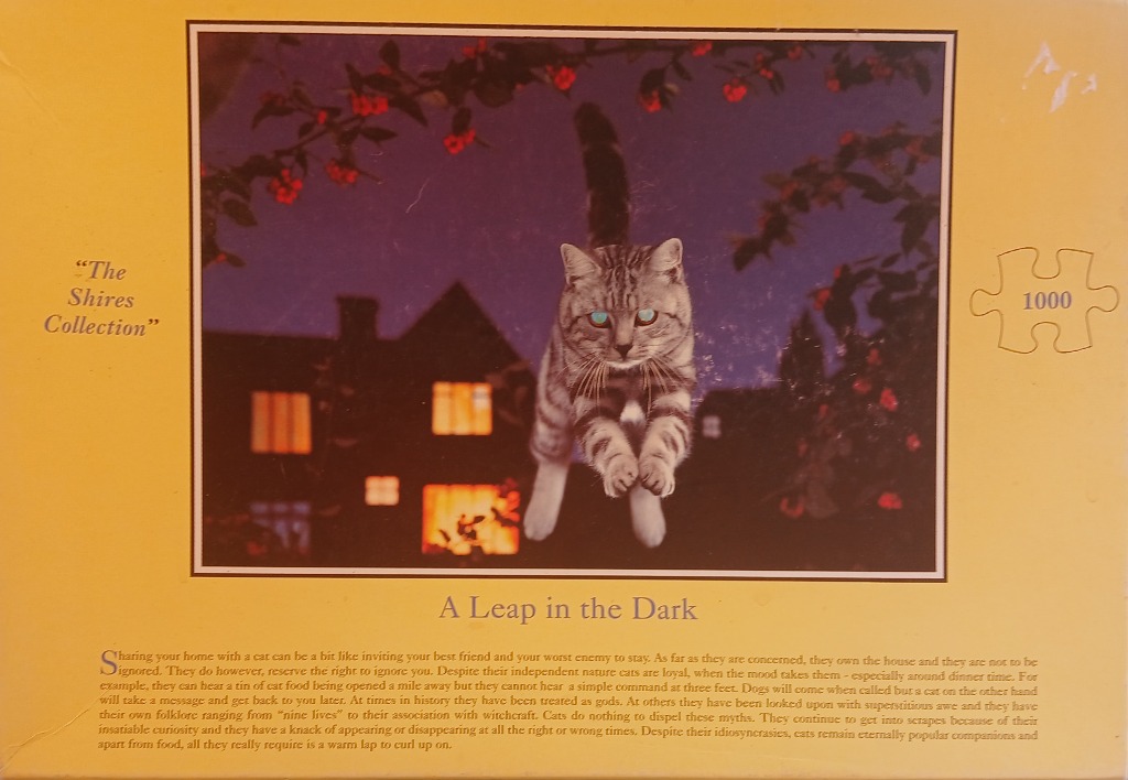 A Leap in the Dark