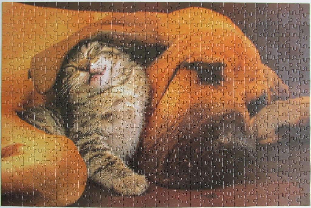 A close-up photograph of a tabby kitten snuggling into the side of a large, brown dog.