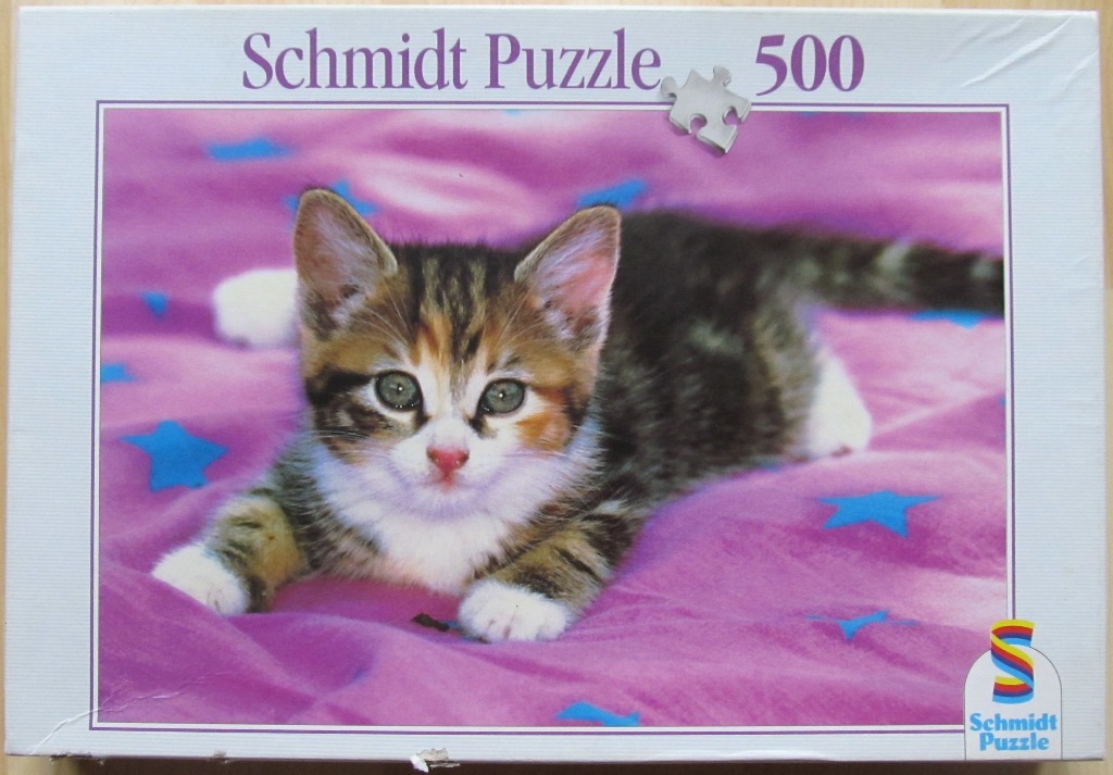 A small, multi-colored tabby kitten lying on a bright pink blanket decorated with blue stars.