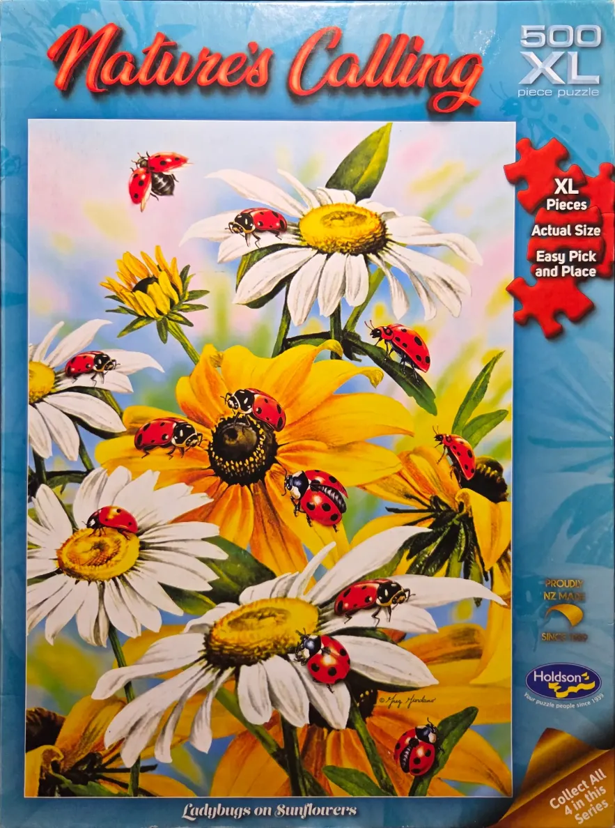 A close-up illustration of numerous red and black ladybugs crawling on white daisies and yellow sunflowers.