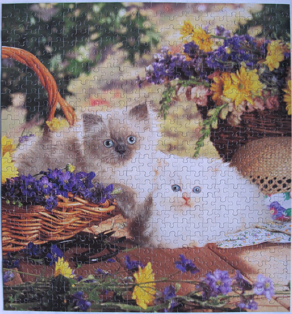 Two fluffy kittens, one grey and one white, sitting in a garden setting surrounded by baskets and flowers.
