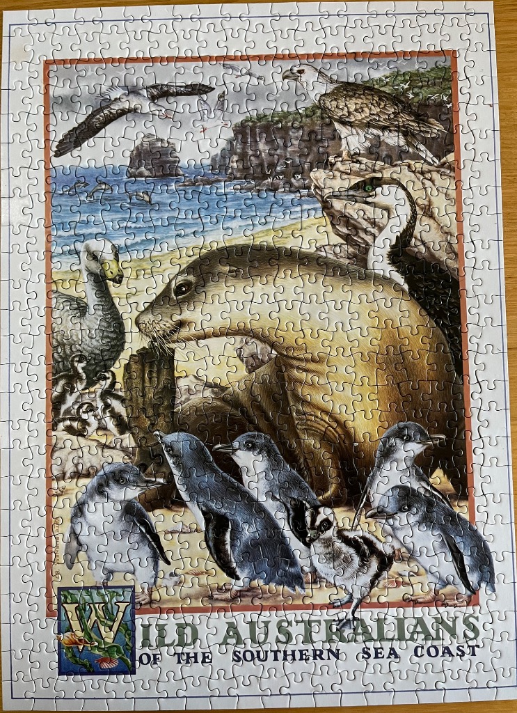 A wildlife illustration featuring a sea lion, various birds, and penguins on a rocky beach.