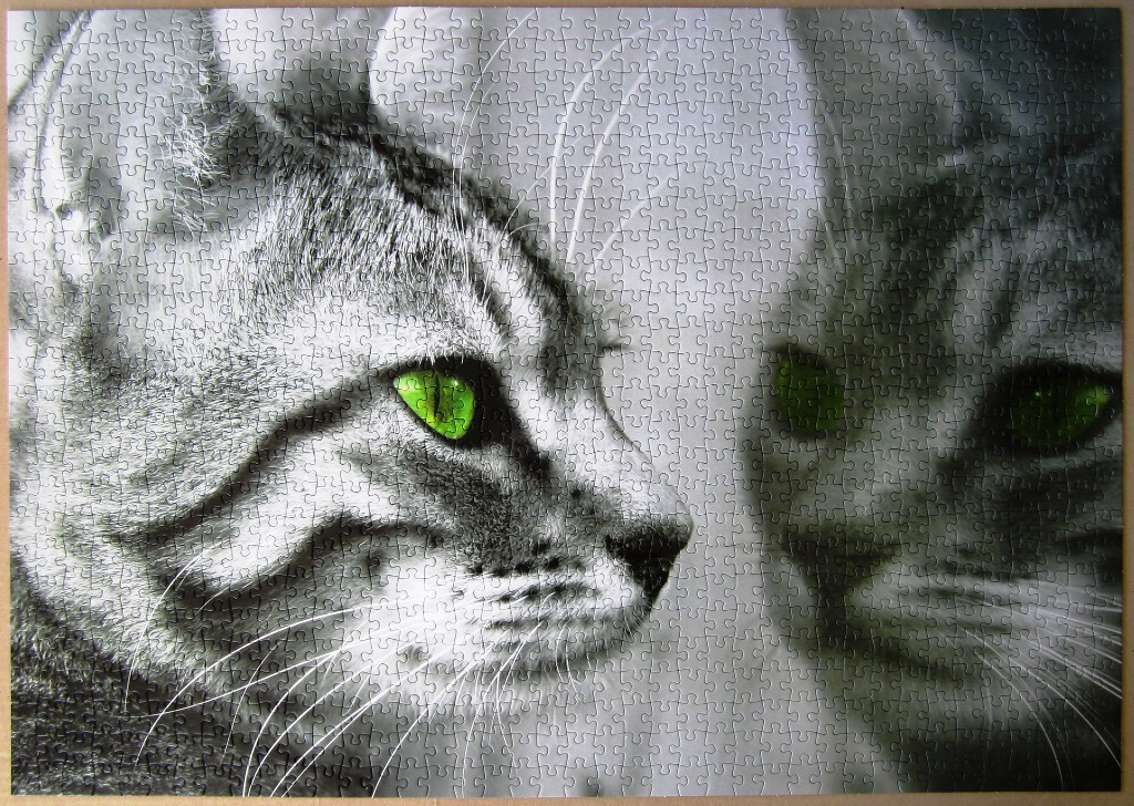 A close-up of a cat in profile looking at its own reflection, with vibrant green eyes against a black and white background.