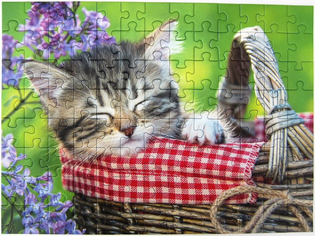 A fluffy tabby kitten sleeping inside a wicker basket lined with a red and white checkered cloth next to purple lilacs.