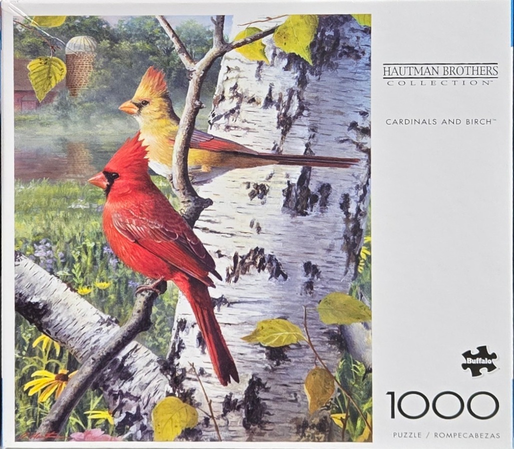 A male and female cardinal perched on a white birch tree in a rural landscape.