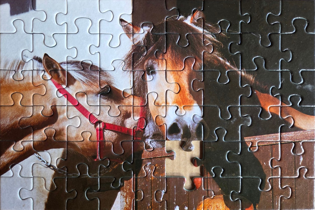 Two horses peering over a stable door in a split-lighting composition.