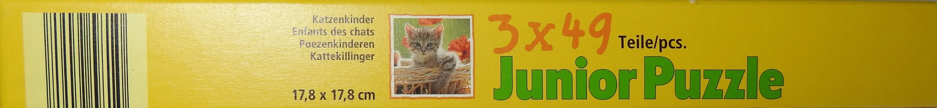 Katzenkinder