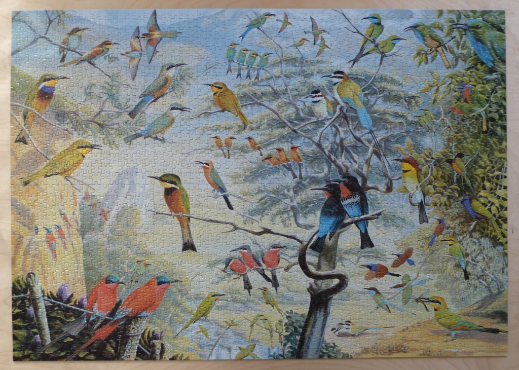 A detailed illustration depicting a large, diverse flock of bee-eater birds perched in trees and in flight.
